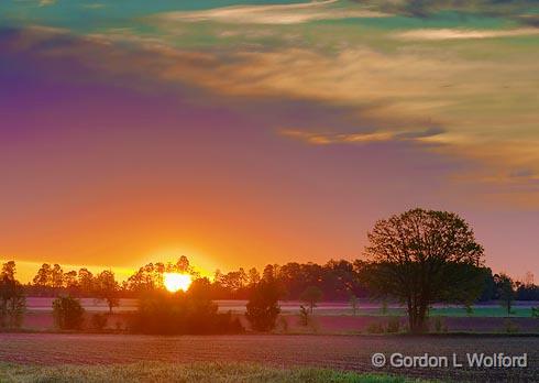 Fields At Sunrise_49133-4.jpg - Photographed near Carleton Place, Ontario, Canada.